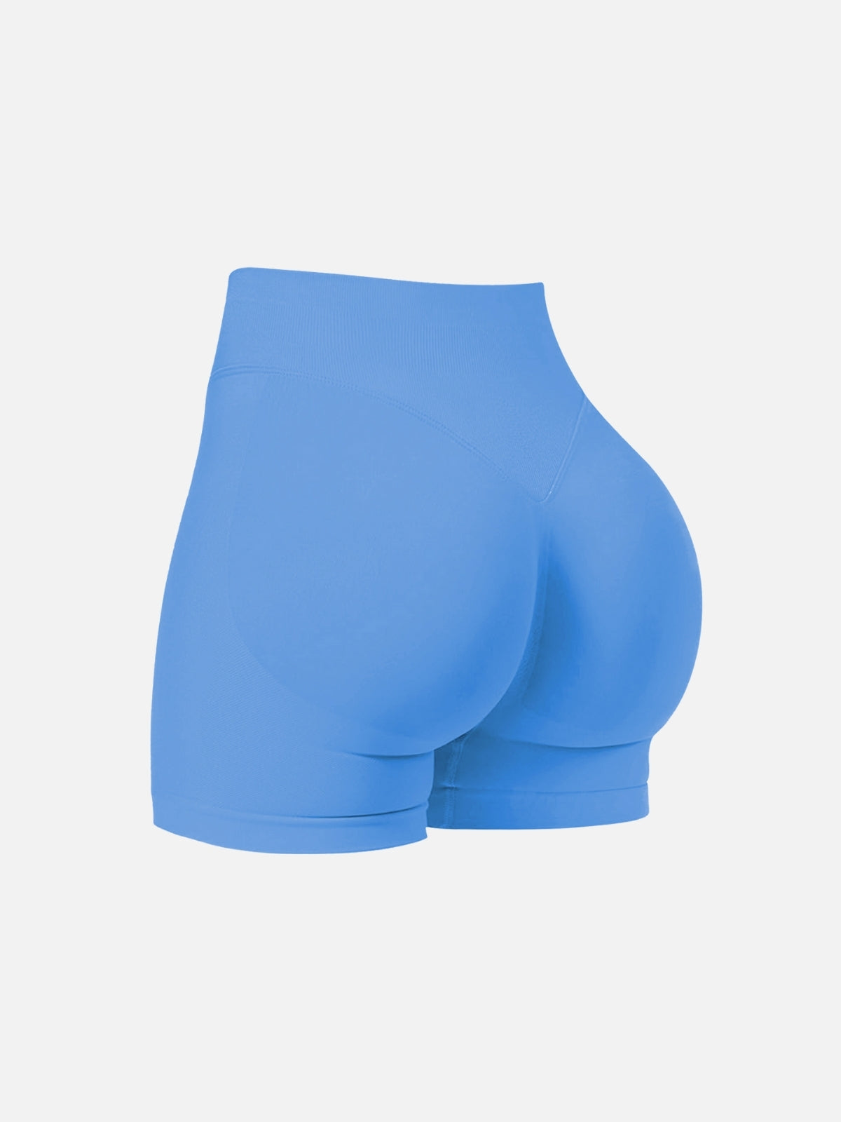 Seamless Sculpting Sports Shorts